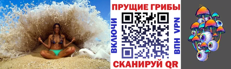 дарнет шоп  Сертолово  Псилоцибиновые грибы прущие грибы 