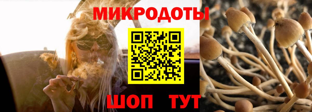 Псилоцибиновые грибы Magic Shrooms  Вход с VPN  продажа наркотиков  Псилоцибиновые грибы Psilocybine cubensis  Сертолово 